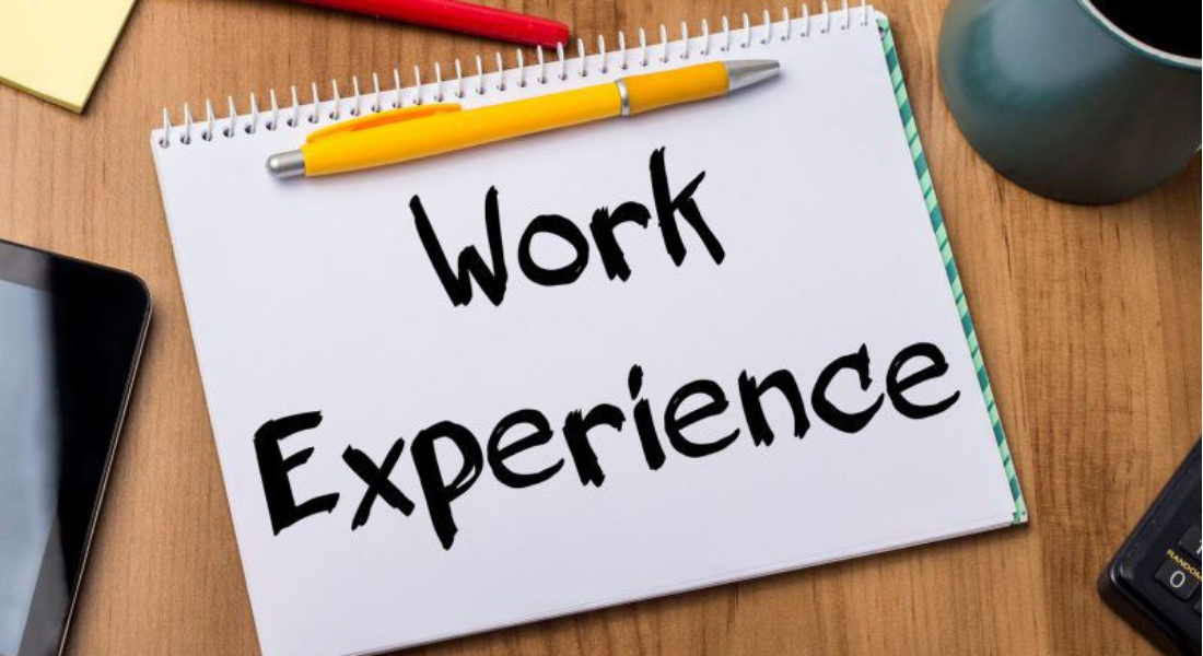 Year 10 and 12 Work Experience Week